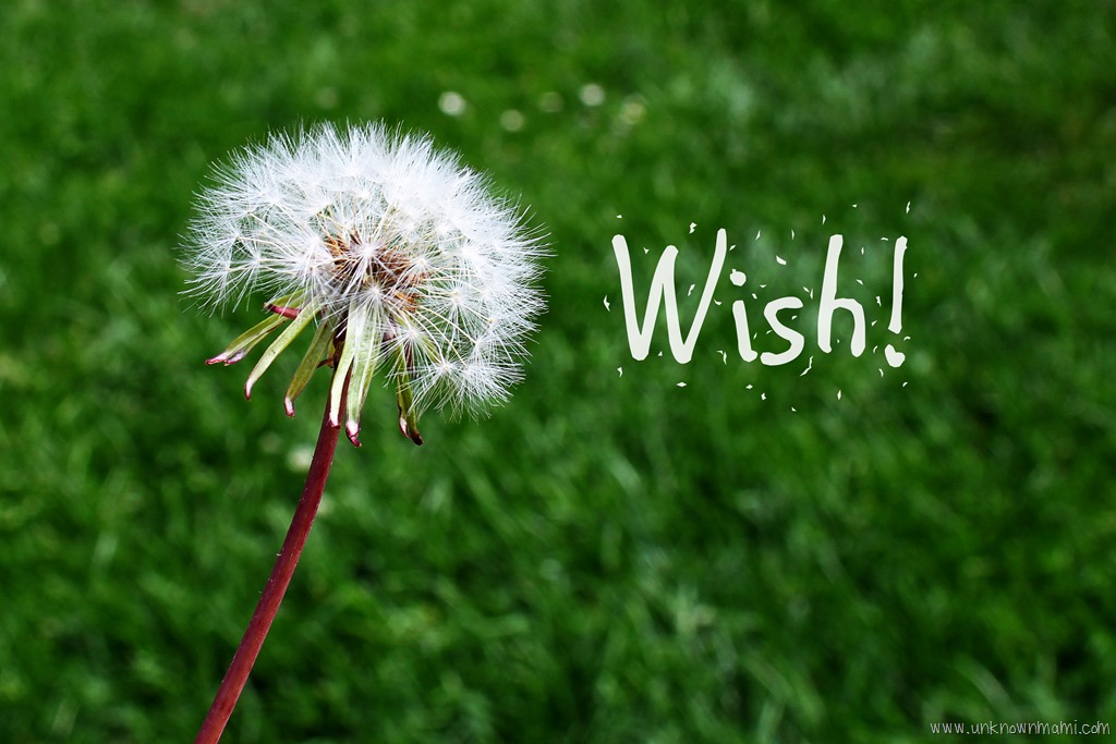 Wednesday Wishes