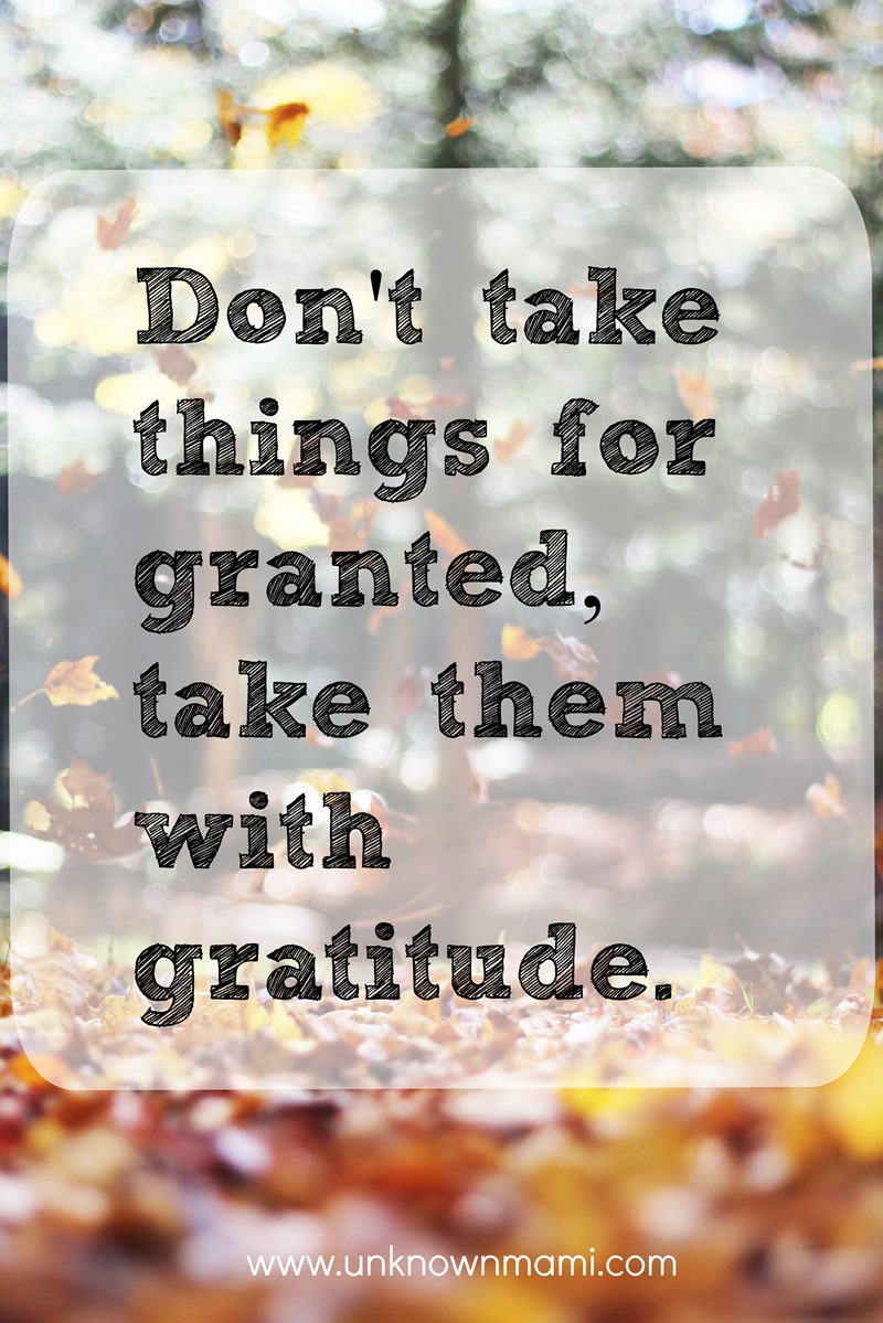 Gratitude quote