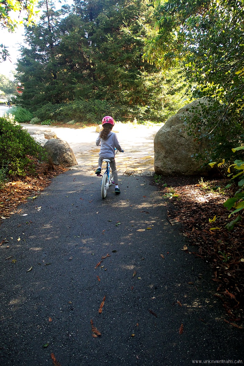 Bike riding in Golden Gate Park