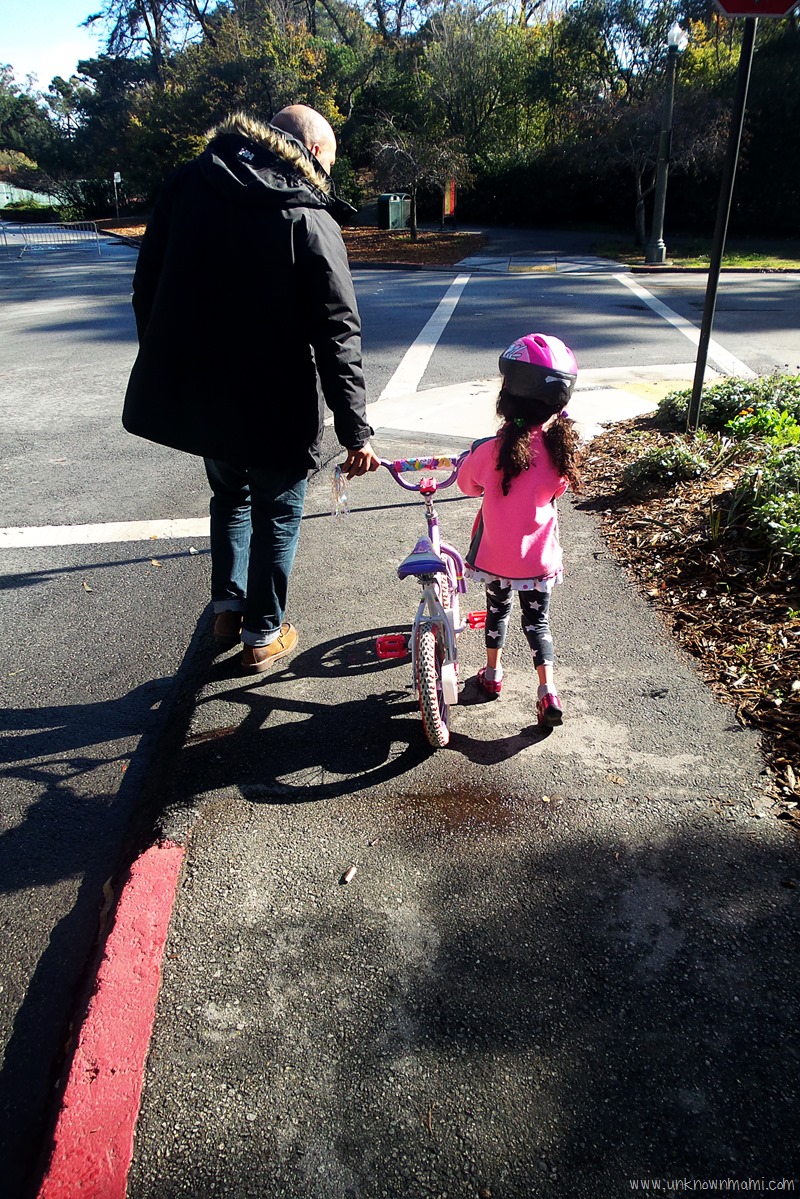 Biking in Golden Gate Park