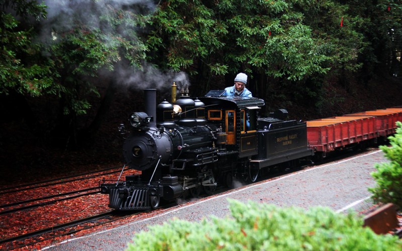 Redwood Valley Railway