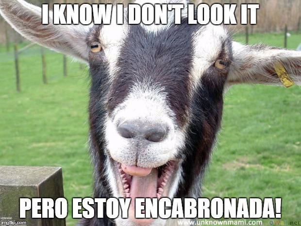 Encabronada meme