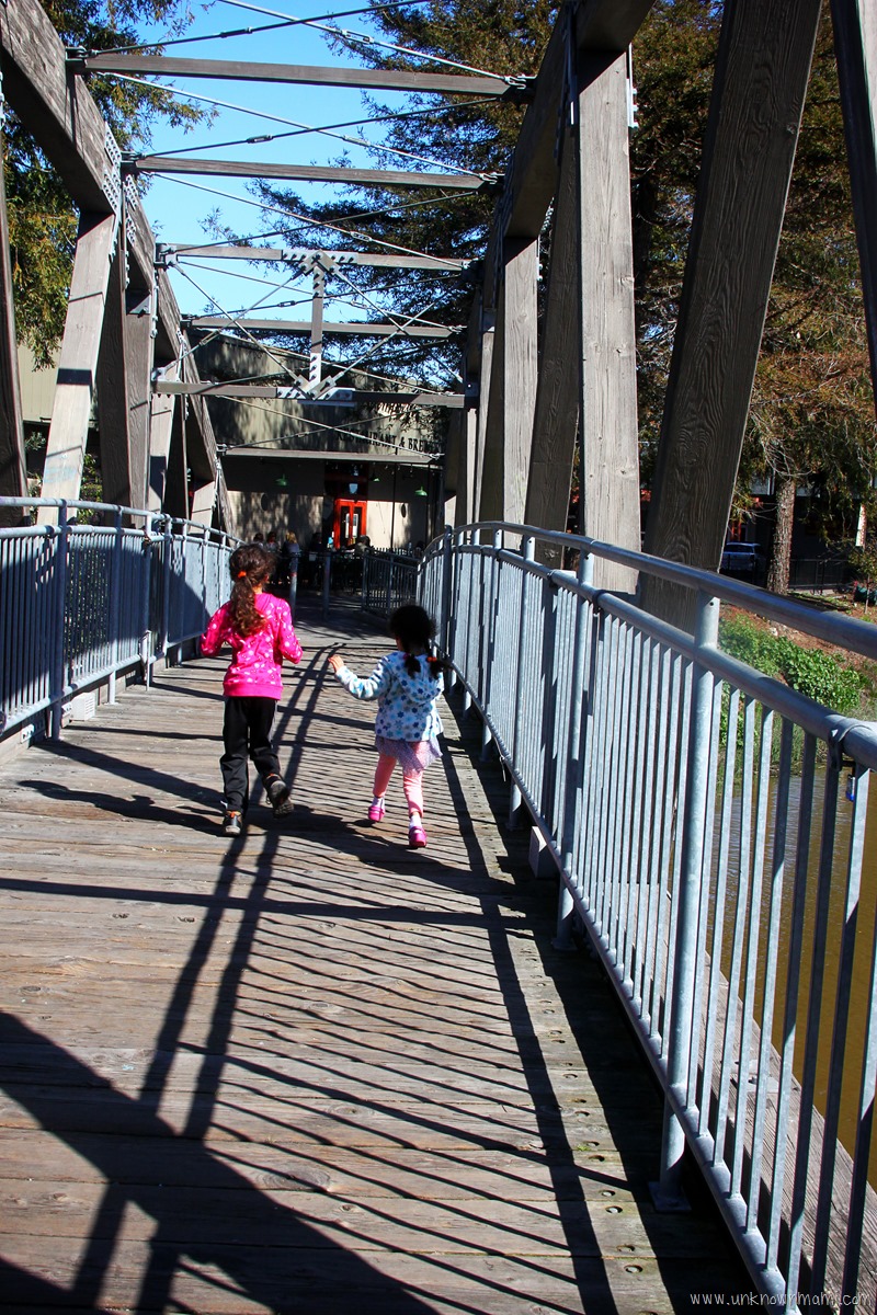 Petaluma bridge
