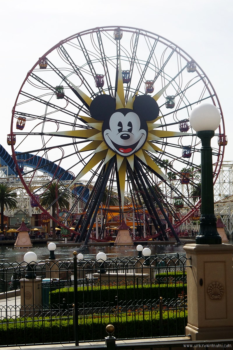 Ferris-wheel-Disneyland-unknownmami Disneyland Ferris Wheel