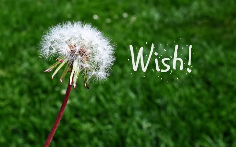 Wishes