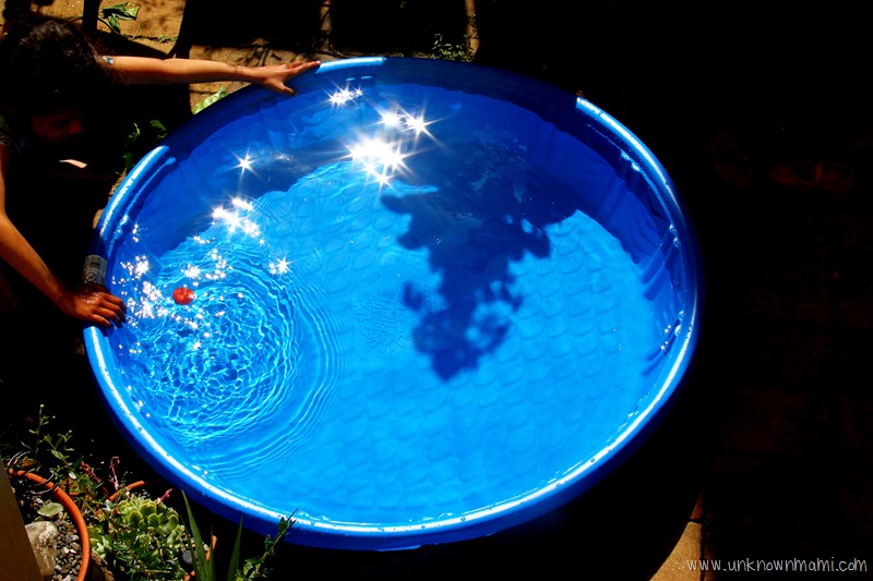 Plastic kiddie pool