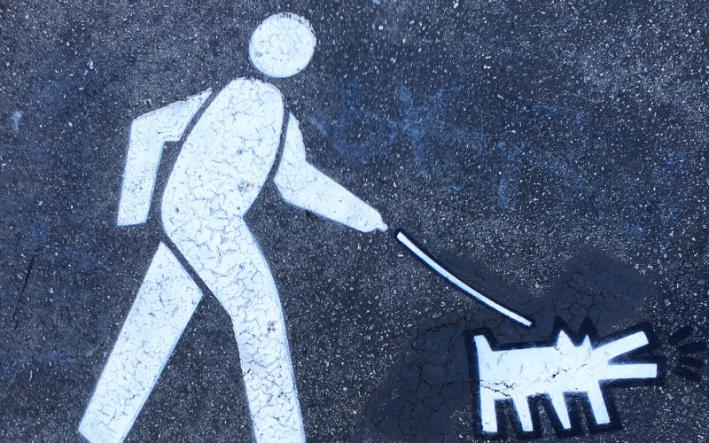 Dog leash signs by fnnch