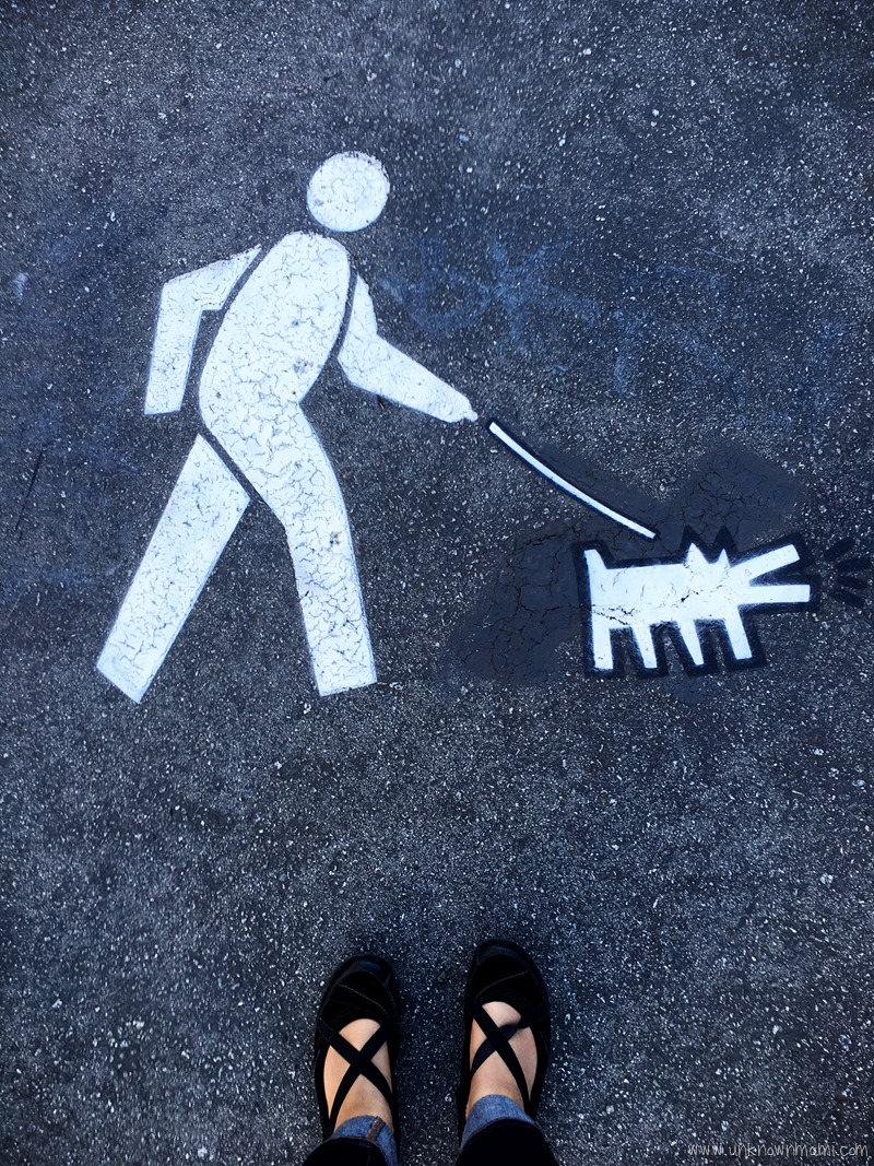 Kieth Haring dog on leash