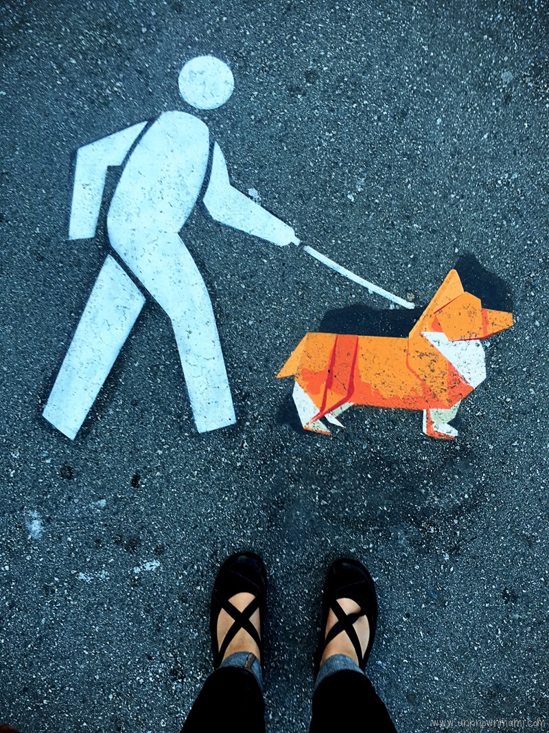 Origami corgi on leash