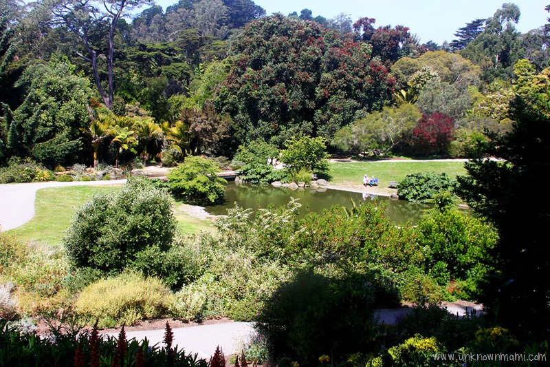 Botanical Garden San Francisco