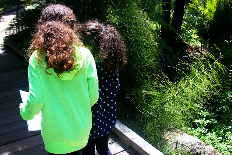 Girls walking in San Francisco Botanical Gardens