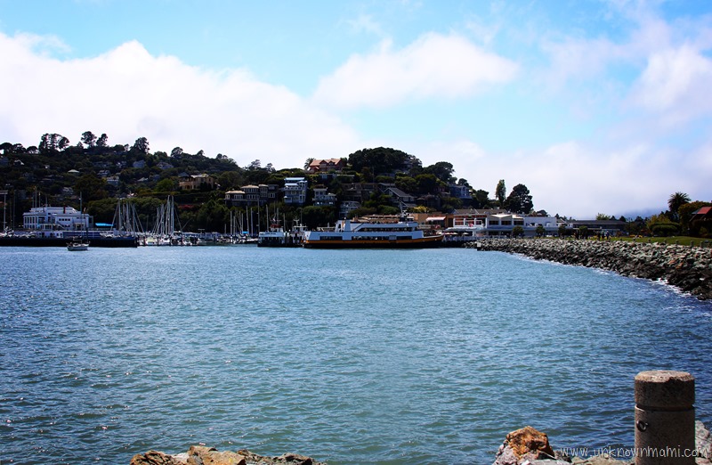 Tiburon Bay