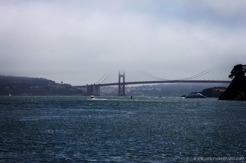 View of Golden Gate Bridge from Tiburon