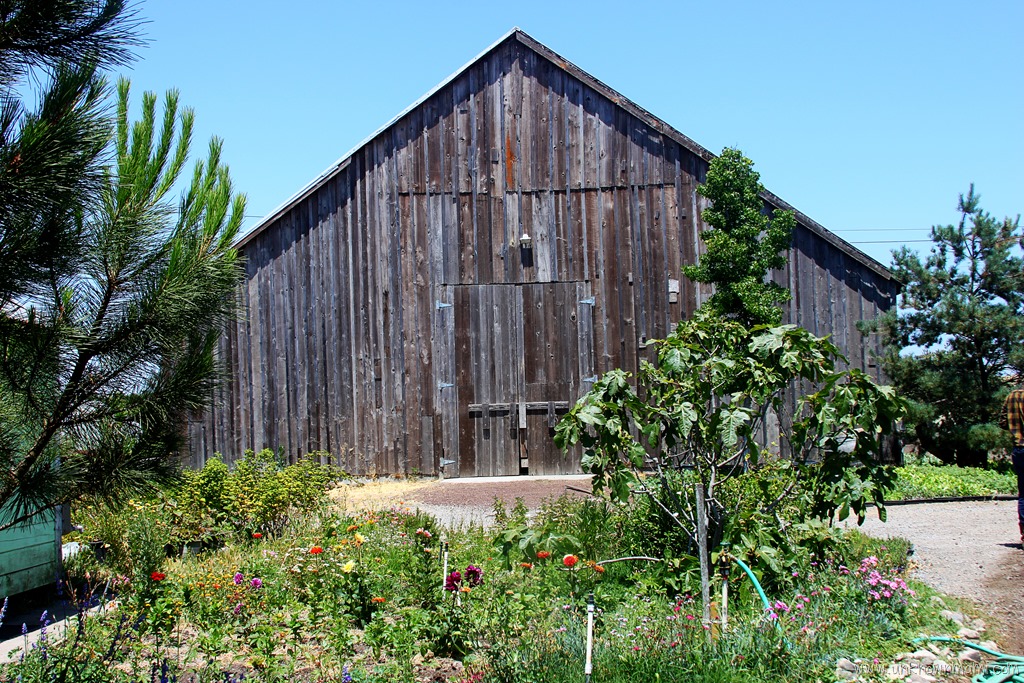 Green String Farm ( Sundays In My City)