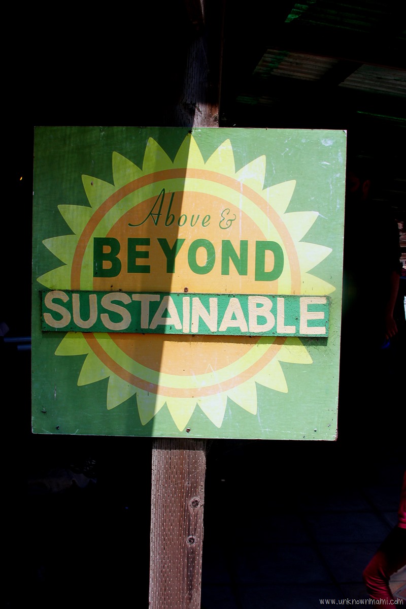 Green-String-Farm-sustainable-unknownmami