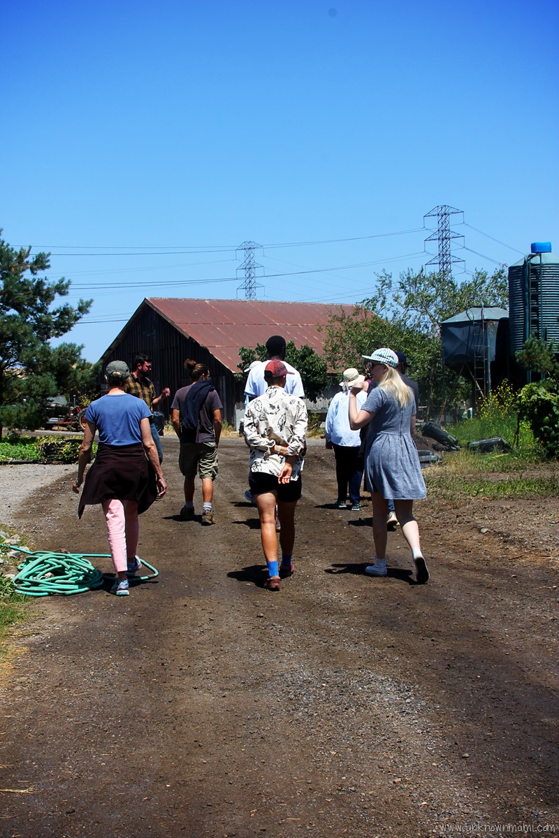 Green-String-Farm-tour-unknownmami