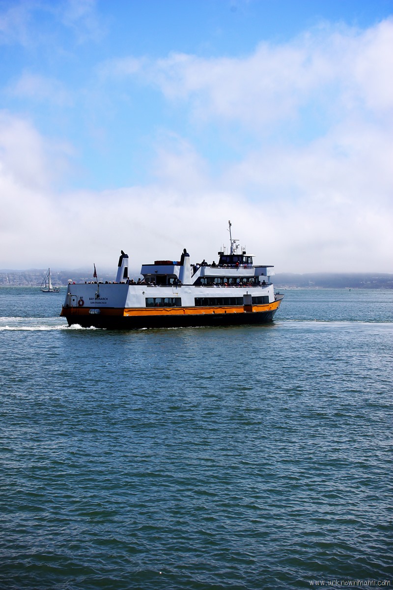 Tiburon San Francisco Ferry