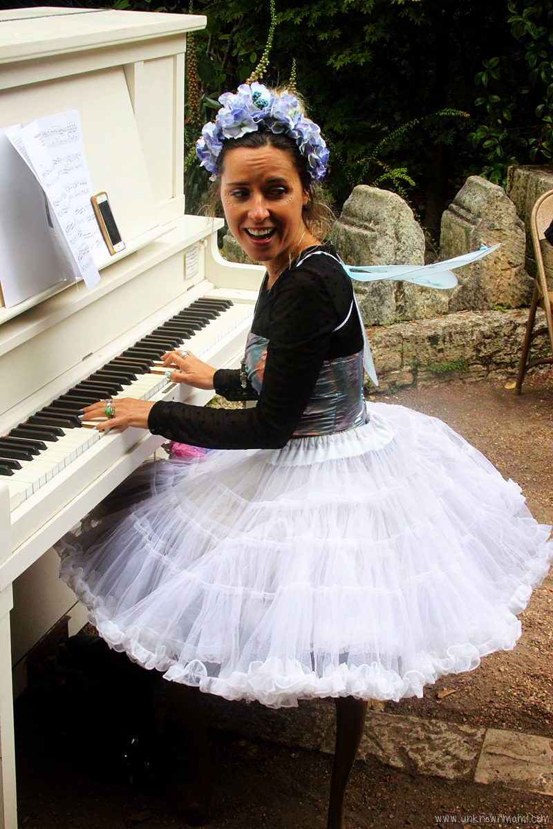 Fairy