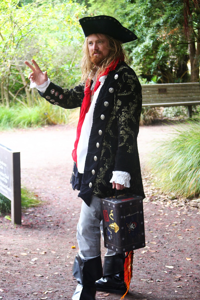 Pirate