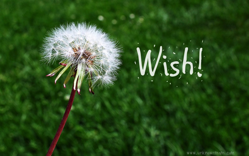 Wednesday Wishes