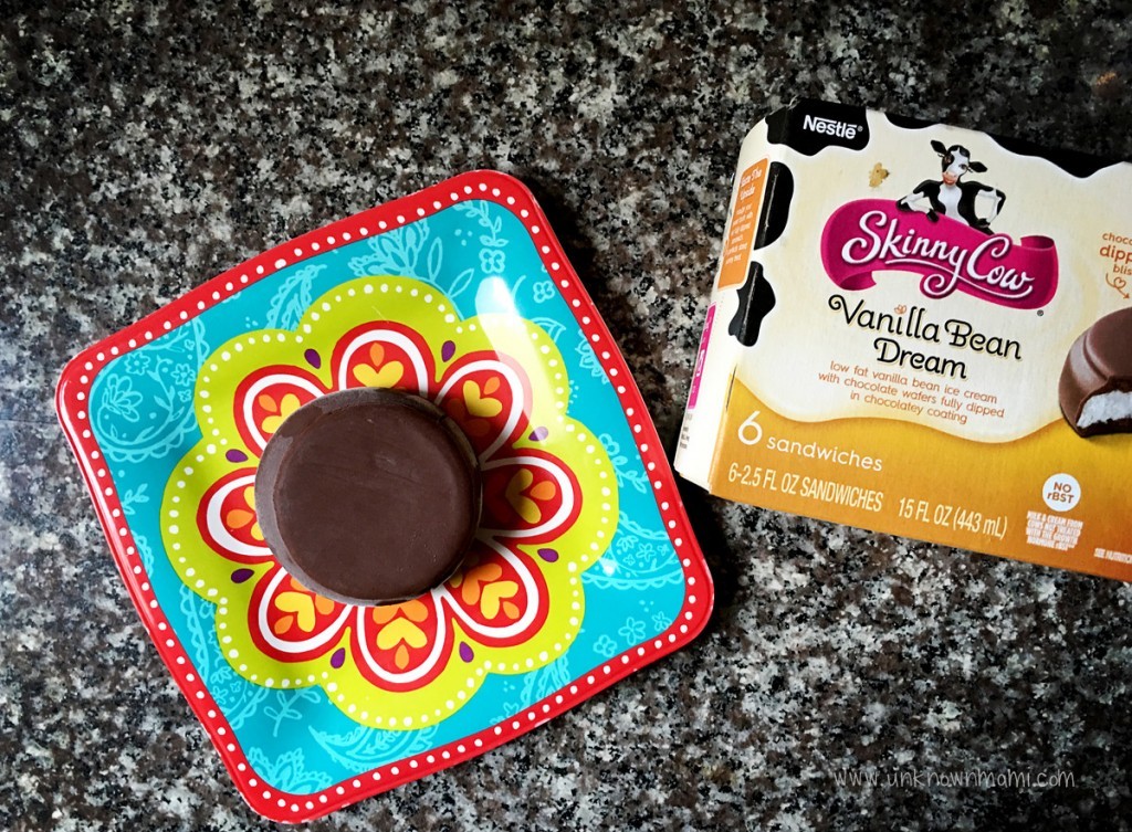 Skinny Cow Vanilla Bean Dream