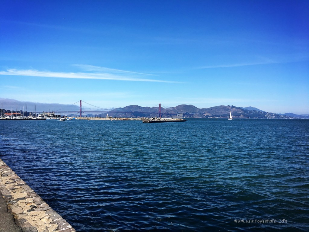 view-golden-gate-bridge-unknownmami