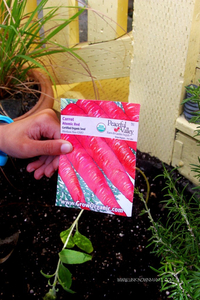 Atomic red carrot seeds