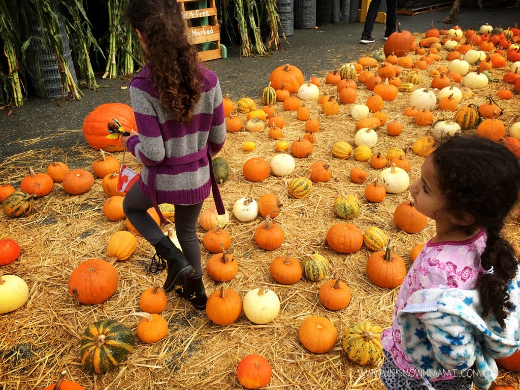 Girls with pumpkins