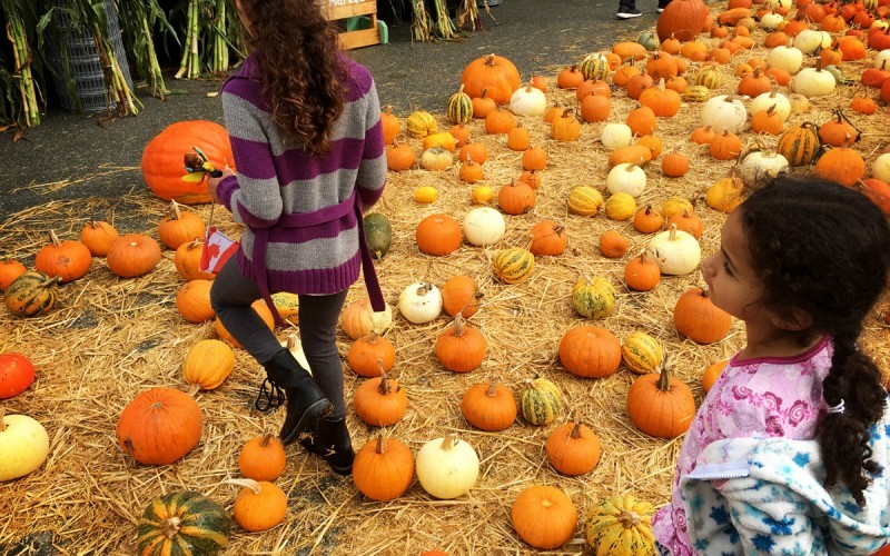Half Moon Bay Art and Pumpkin Festival