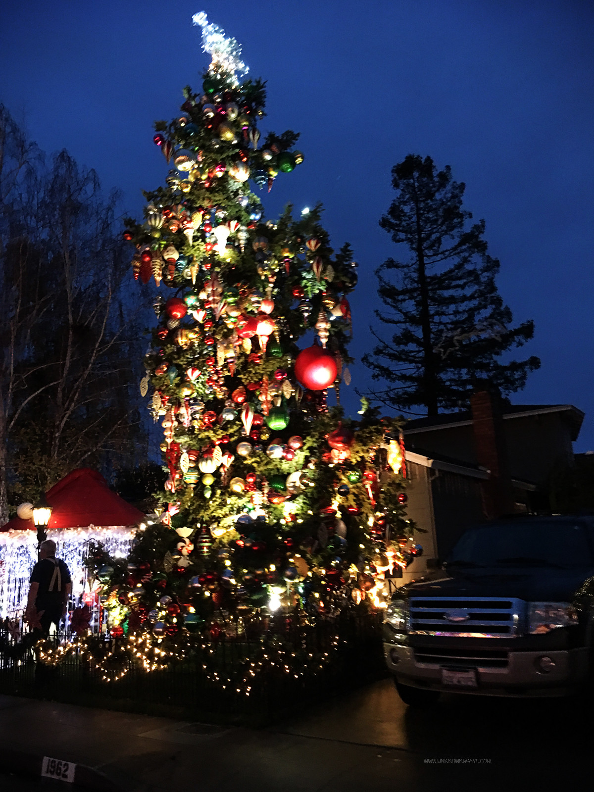 Christmas Tree Lane in San Carlos (Sundays In My City)