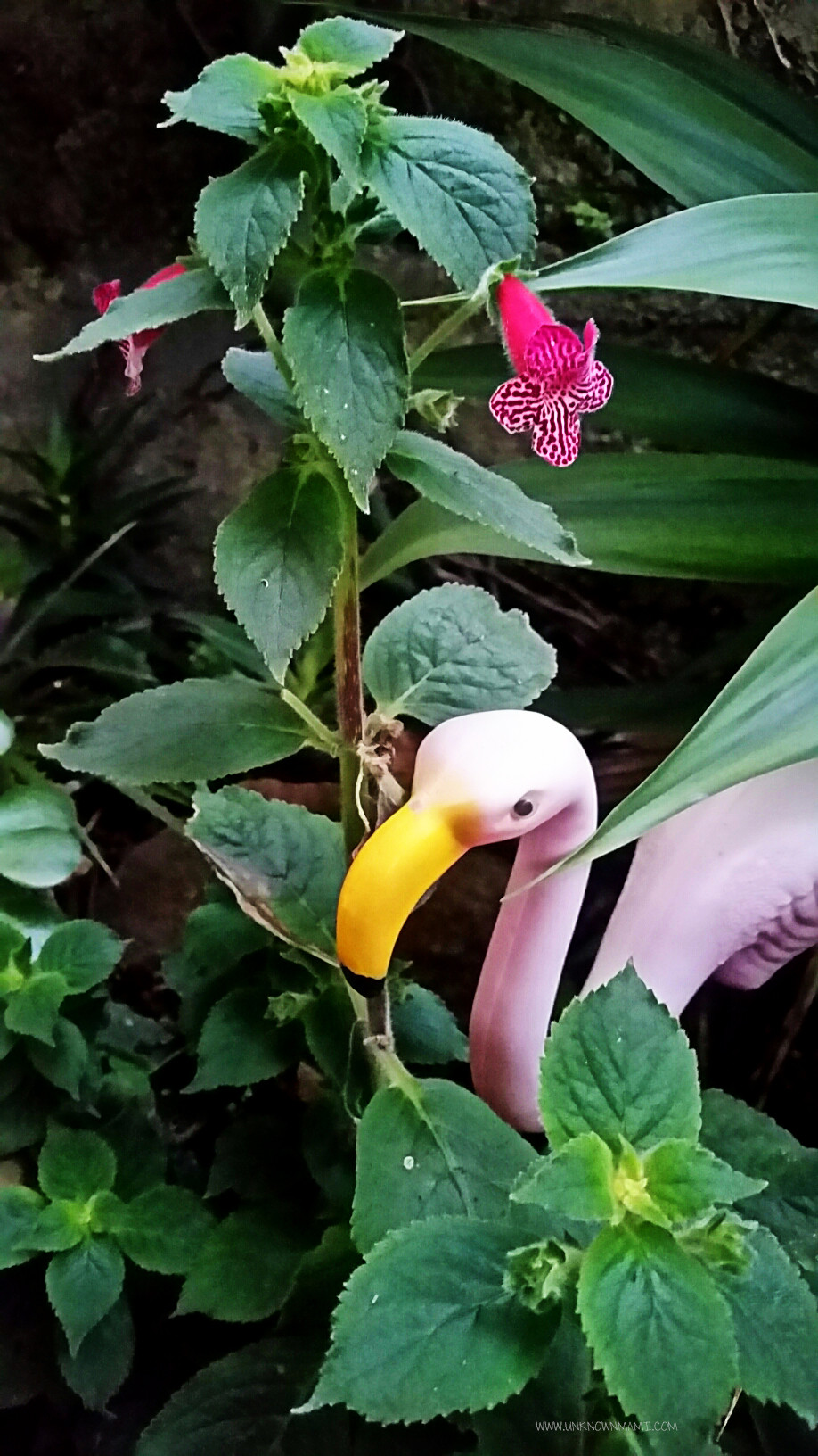 Pink garden flamingo