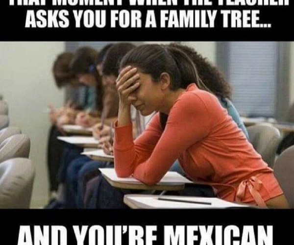 Family tree when you are Mexican