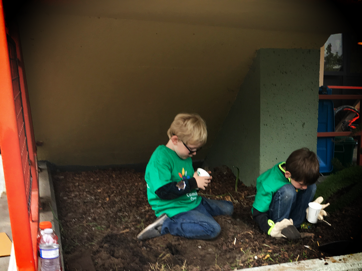 Kids planting