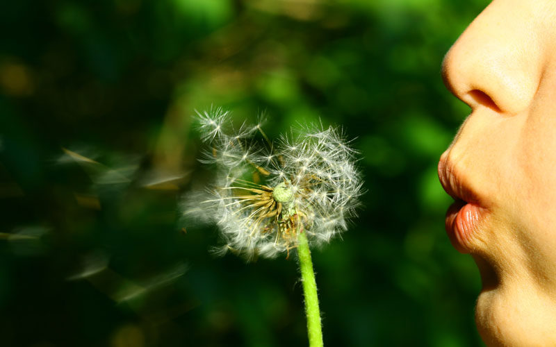 wish