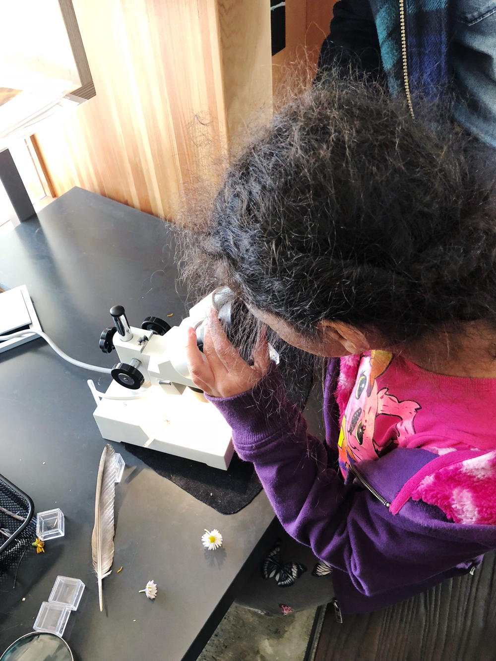 microscope at Randall Museum