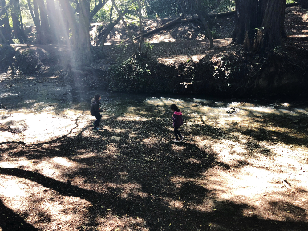 Arroyo Corte Madera del Presidio