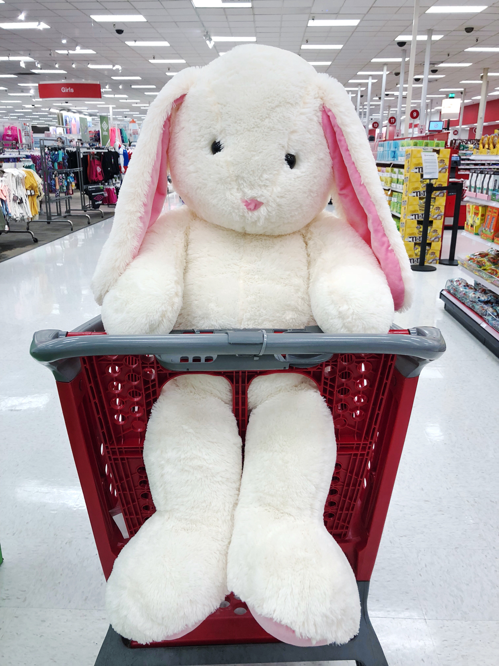 big stuffed bunny target