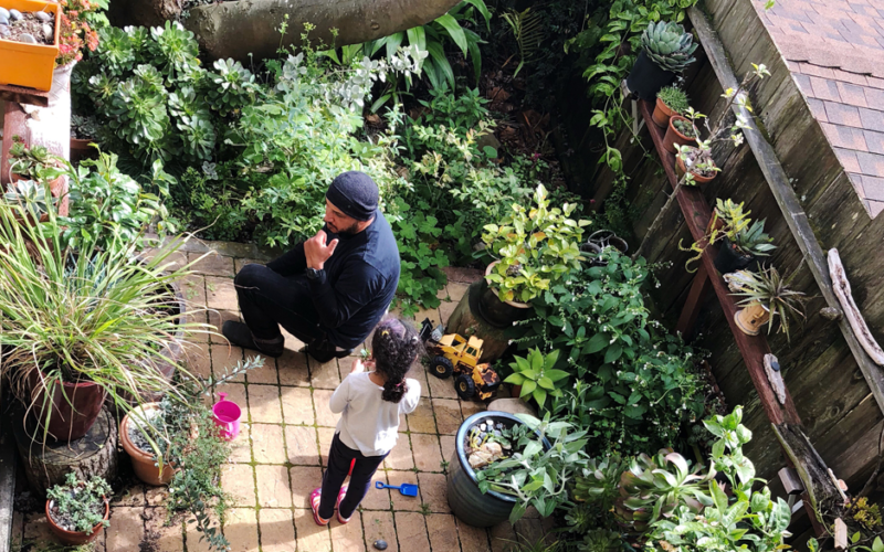 San Francisco backyard