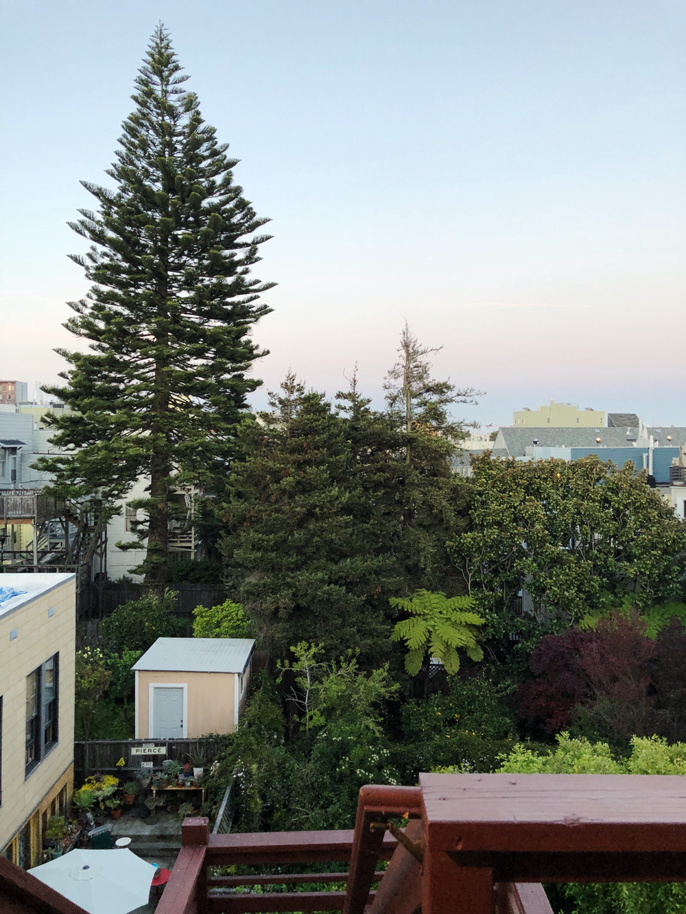 View from Deck in the Lower Haight