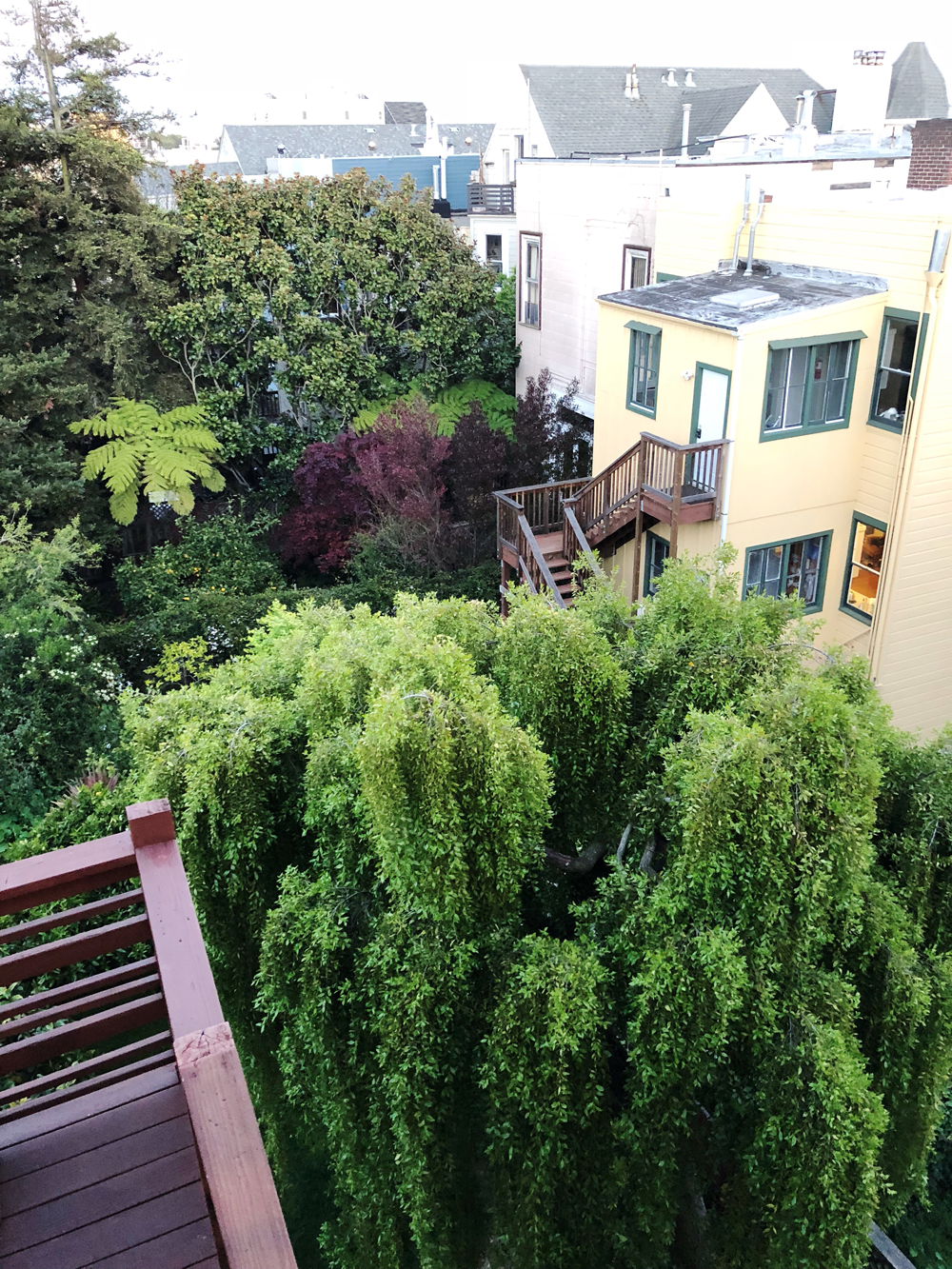View from deck in the Lower Haight