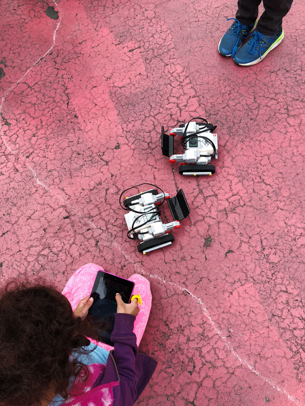 School Science Fair Robot Fight