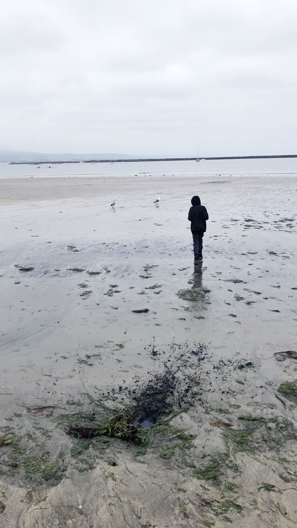 Moss Beach