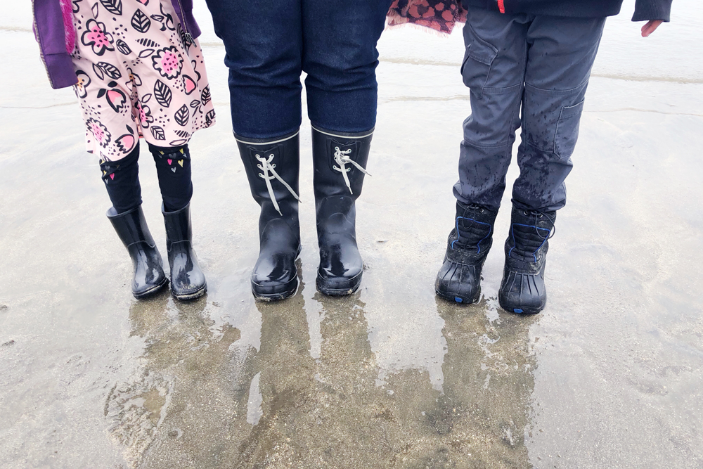 A Day at Moss Beach
