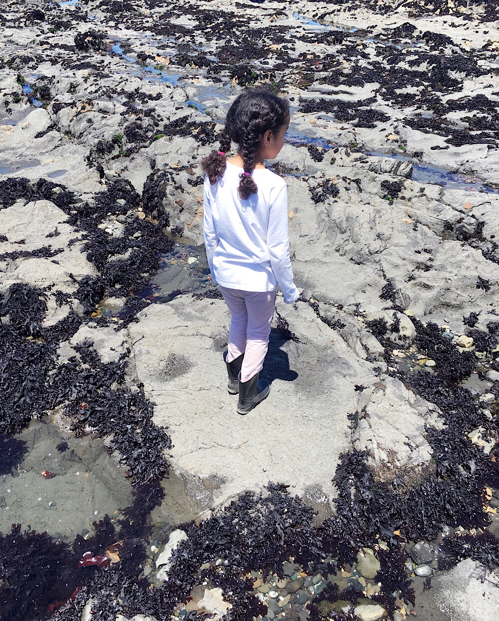 Fitzgerald Marine Reserve