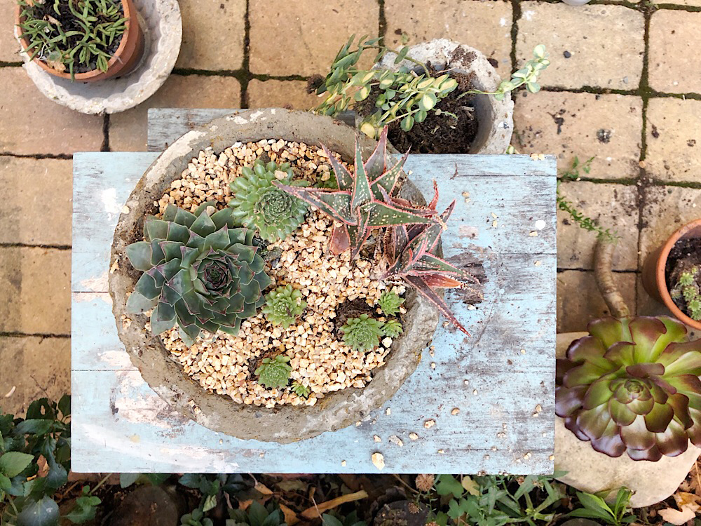 Concrete planter