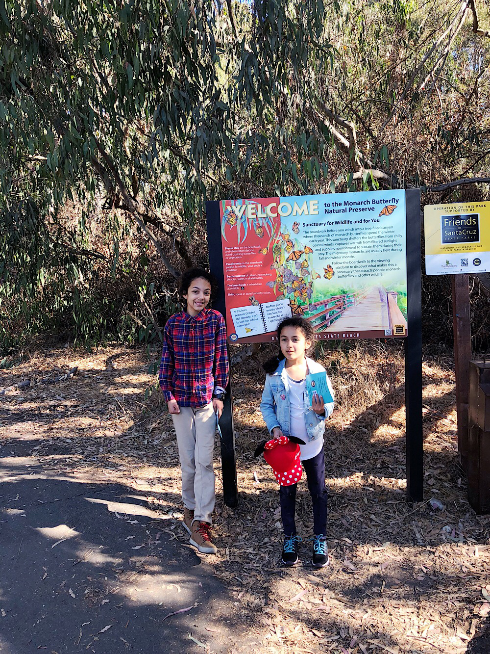 Monarch Butterflies at Natural Bridges