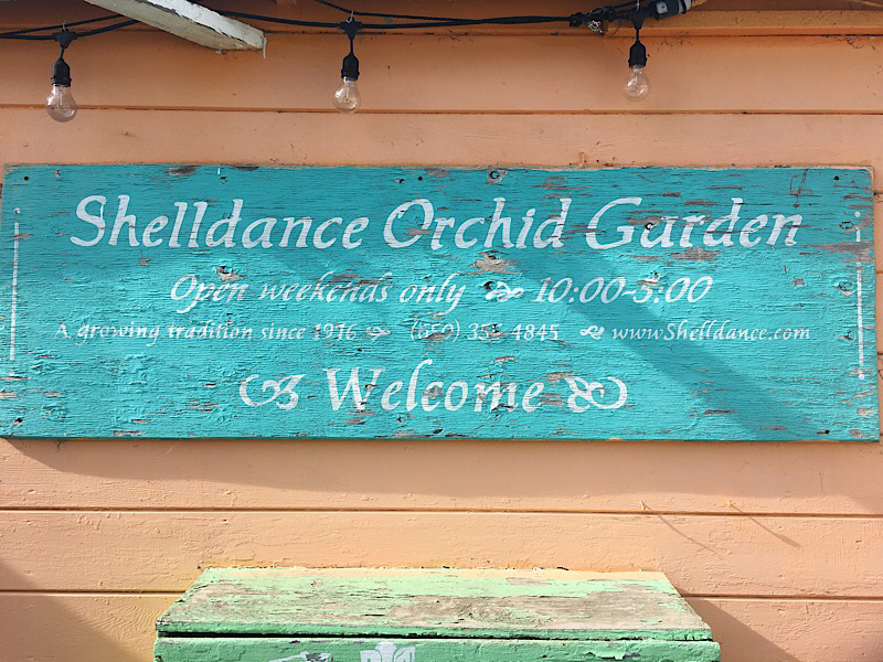 Shelldance Orchid Garden