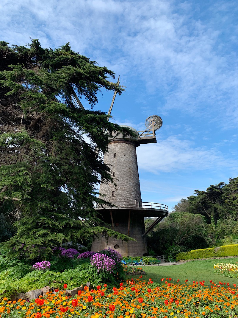Dutch Windmill and Tulip Garden