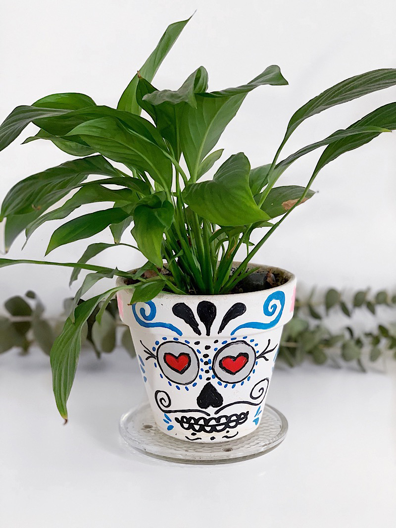 Day of the Dead planter