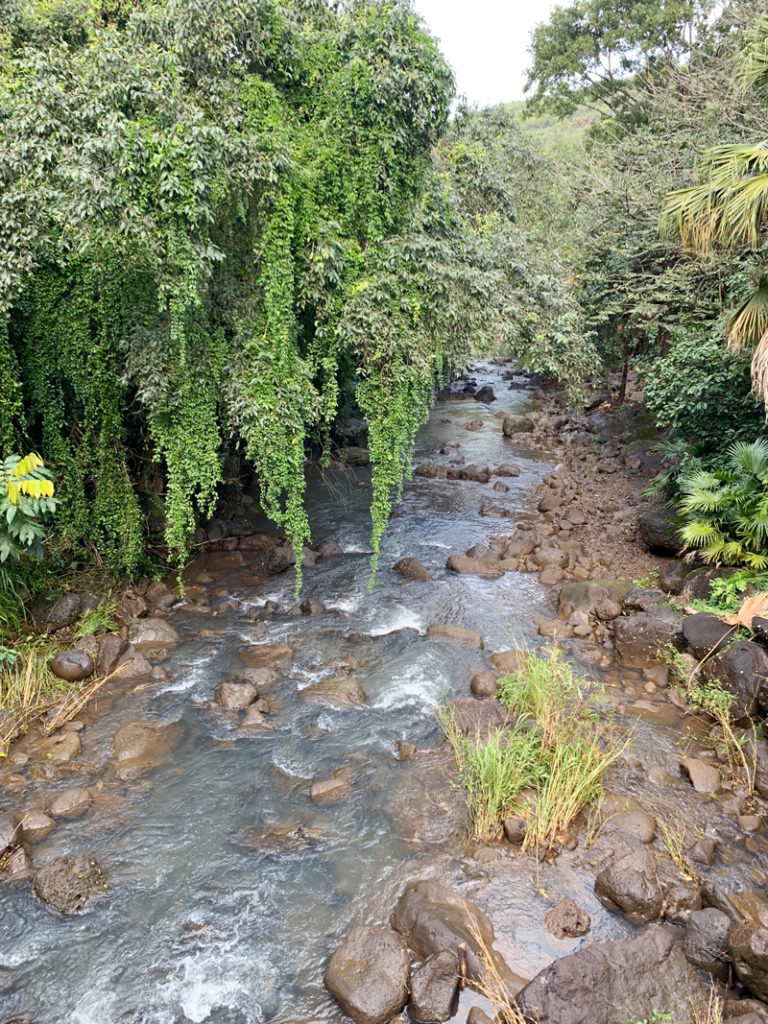 Manoa Falls Hawaii